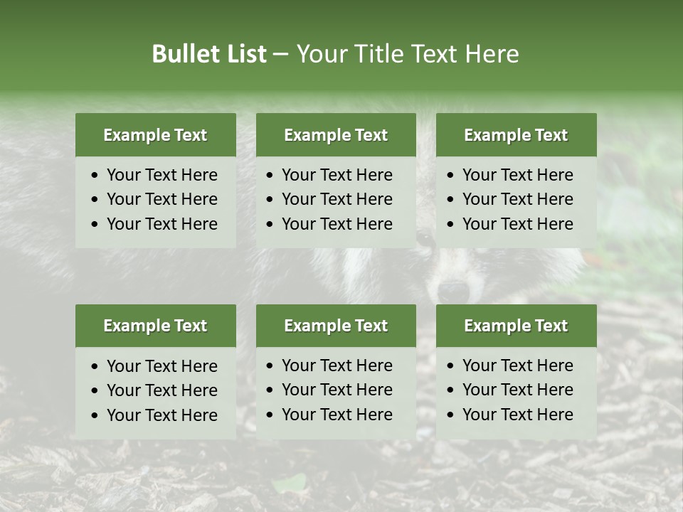 Wildlife Procyonoides Canine PowerPoint Template