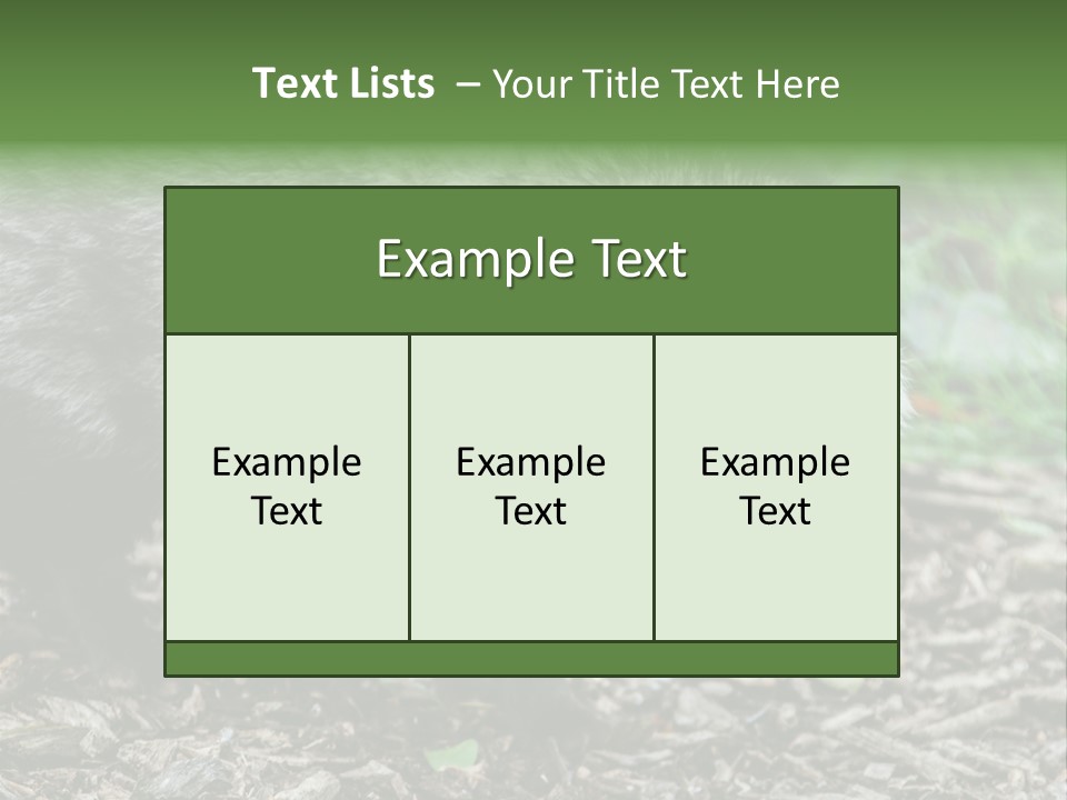 Wildlife Procyonoides Canine PowerPoint Template