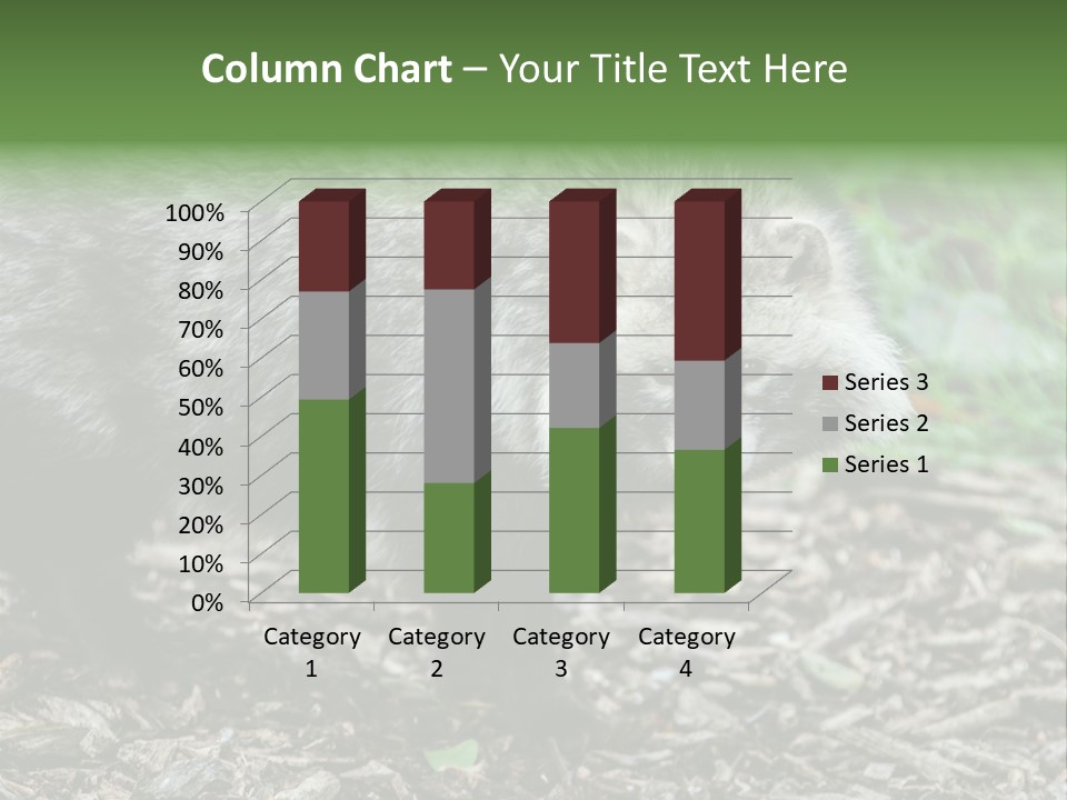 Wildlife Procyonoides Canine PowerPoint Template