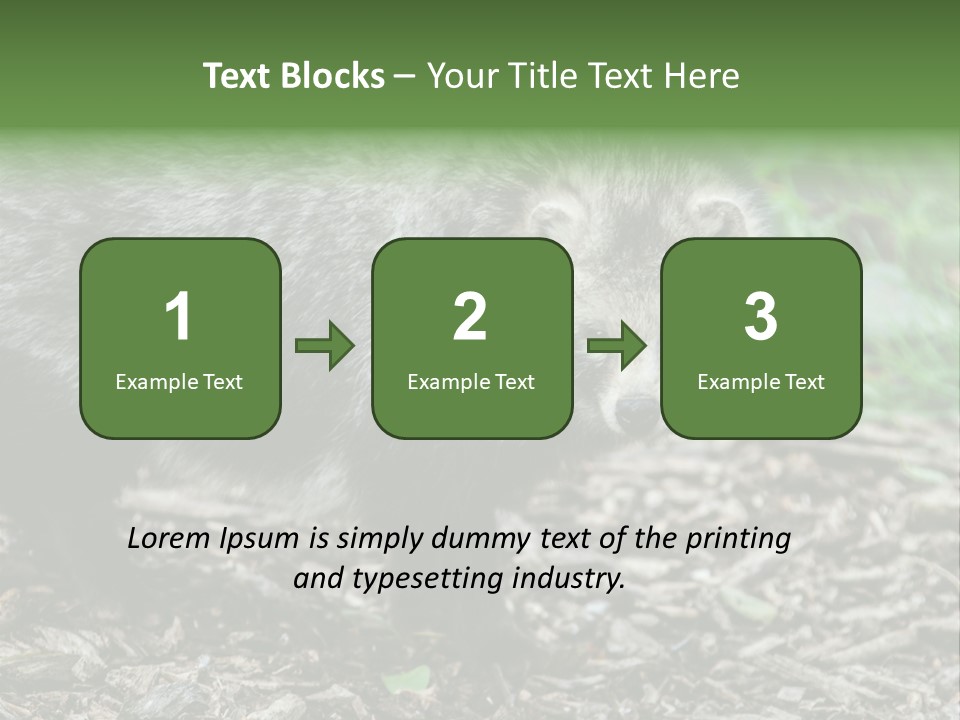 Wildlife Procyonoides Canine PowerPoint Template