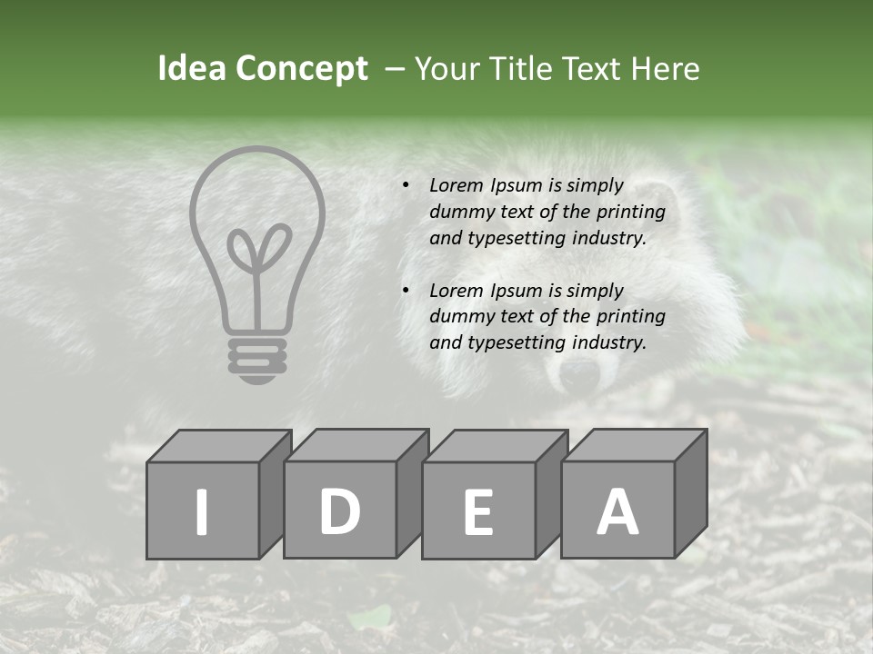 Wildlife Procyonoides Canine PowerPoint Template