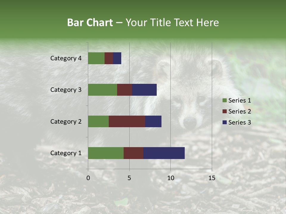 Wildlife Procyonoides Canine PowerPoint Template
