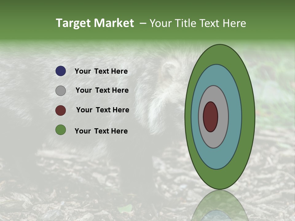 Wildlife Procyonoides Canine PowerPoint Template