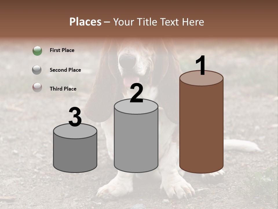 Long Canine Basset PowerPoint Template