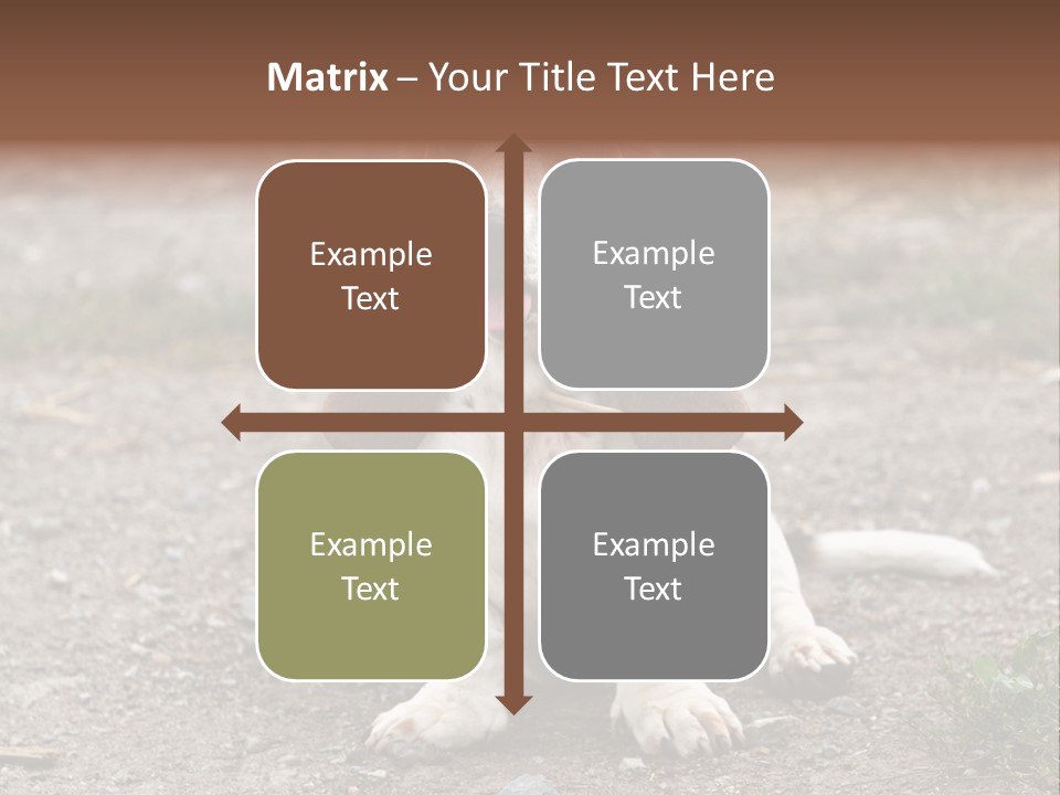 Long Canine Basset PowerPoint Template