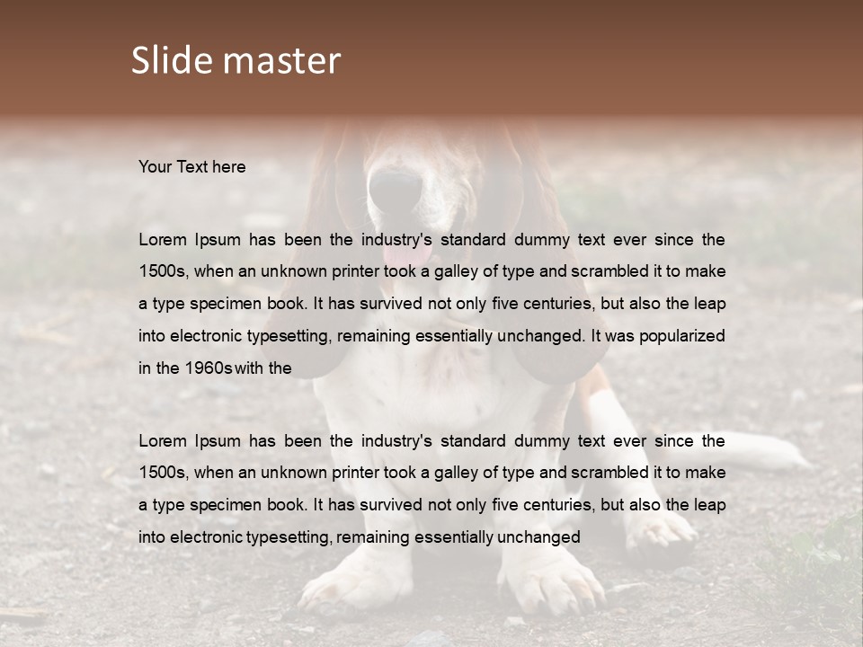 Long Canine Basset PowerPoint Template