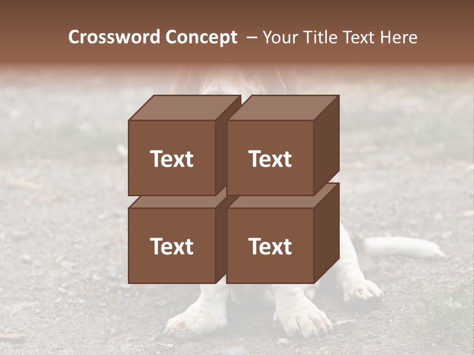 Long Canine Basset PowerPoint Template