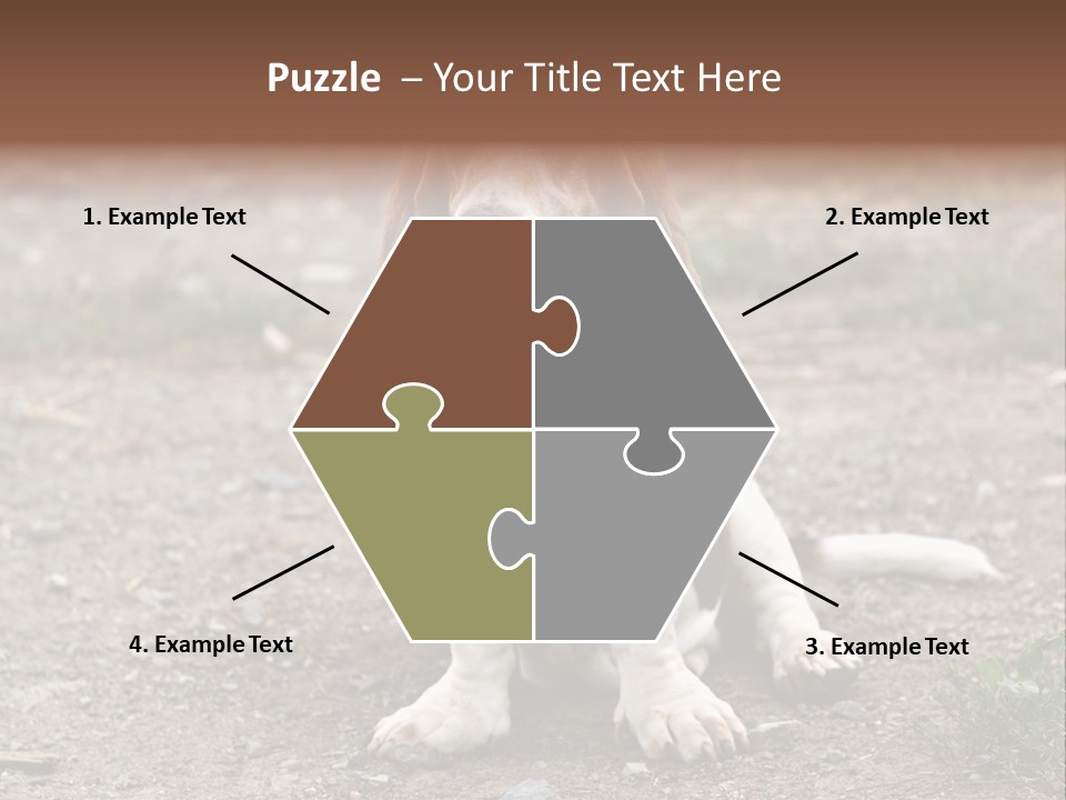 Long Canine Basset PowerPoint Template