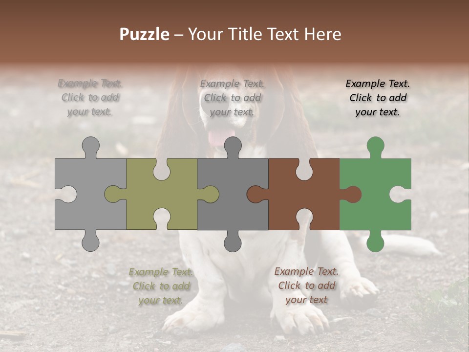 Long Canine Basset PowerPoint Template