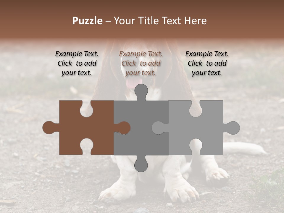 Long Canine Basset PowerPoint Template