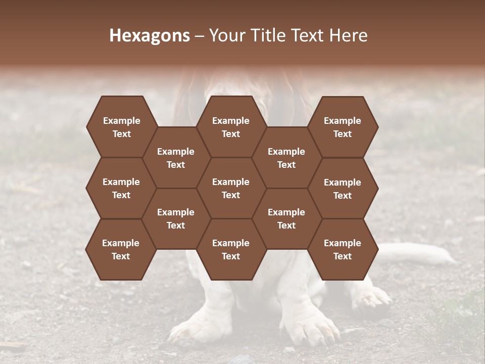 Long Canine Basset PowerPoint Template