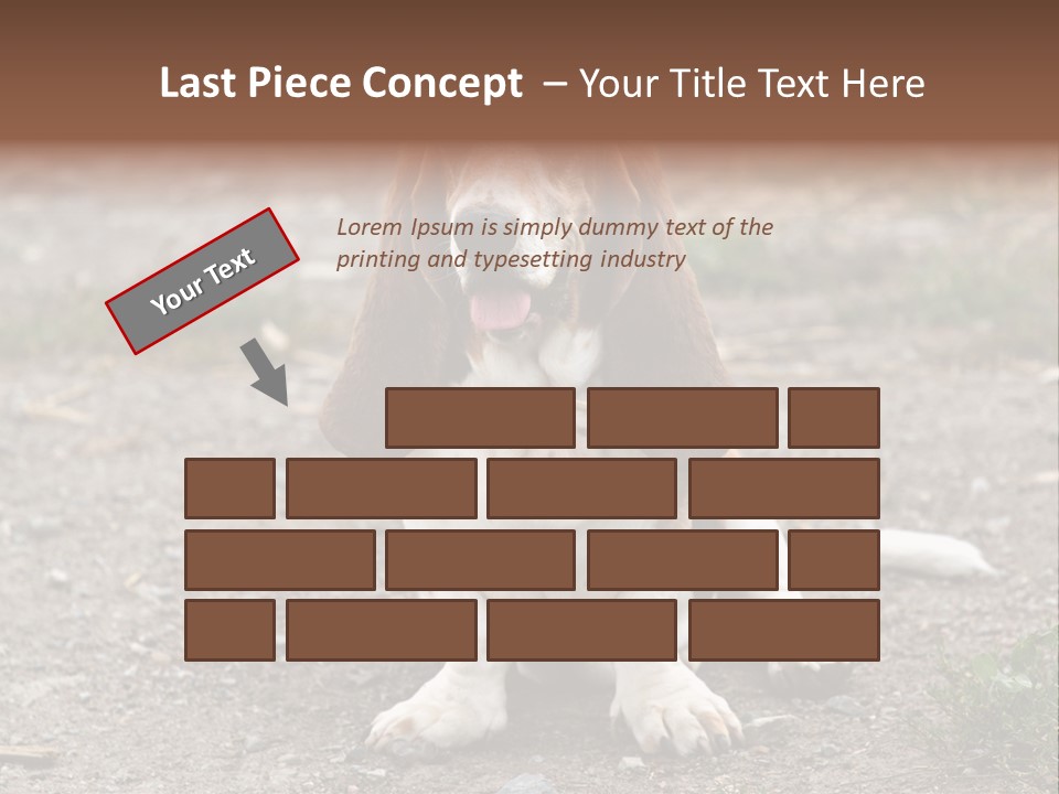 Long Canine Basset PowerPoint Template