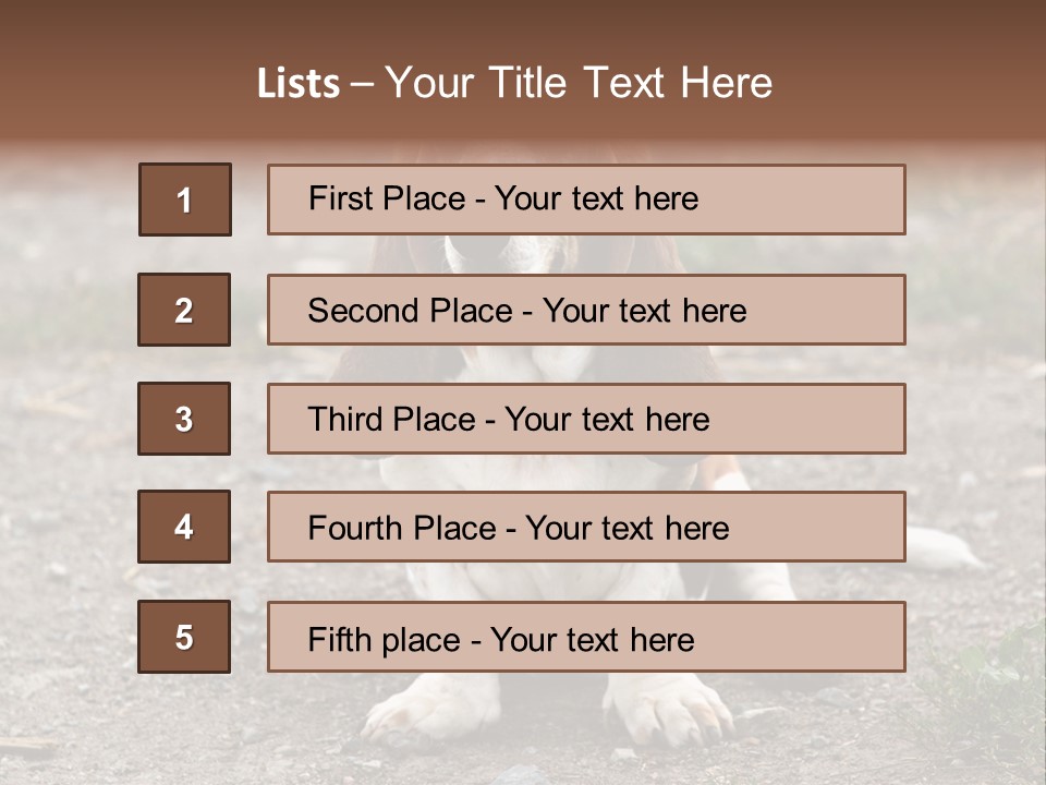 Long Canine Basset PowerPoint Template