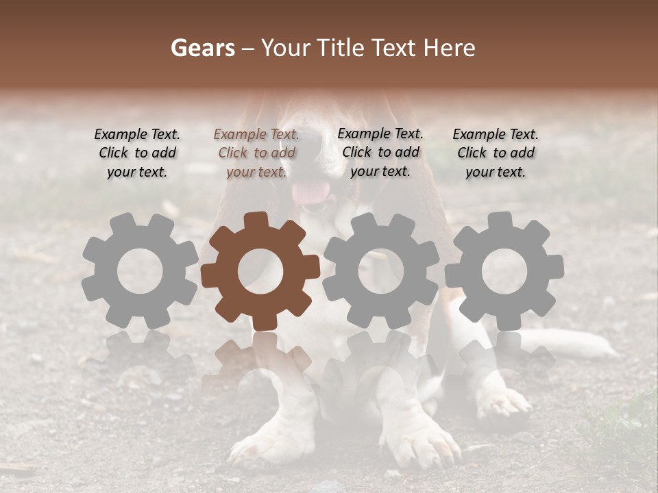 Long Canine Basset PowerPoint Template
