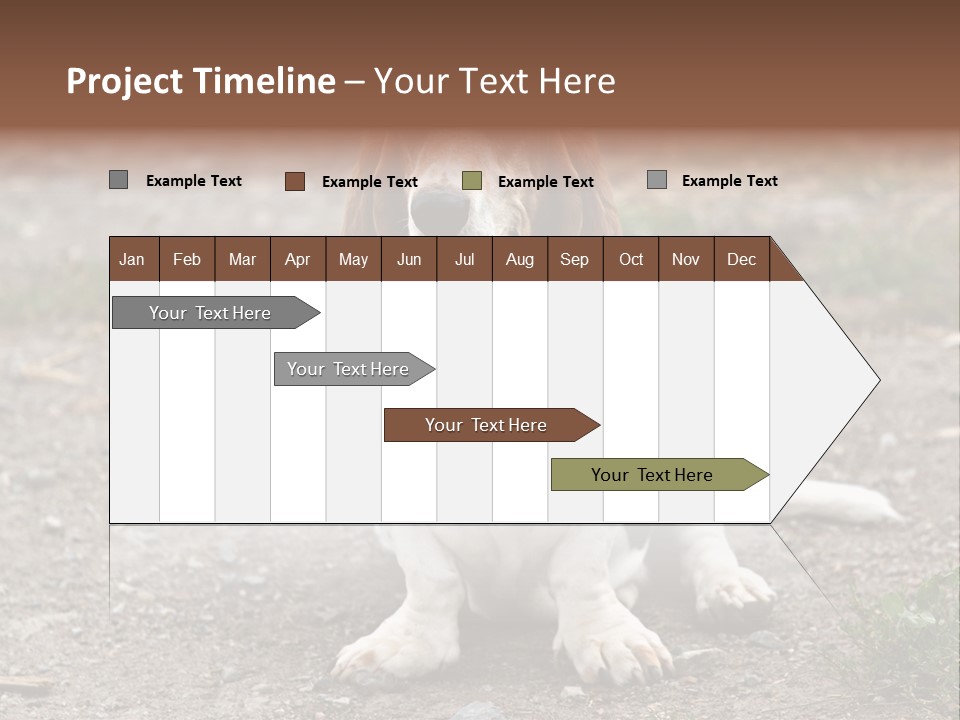 Long Canine Basset PowerPoint Template