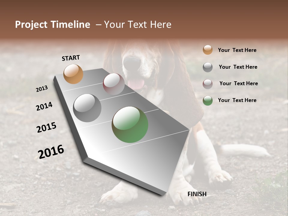Long Canine Basset PowerPoint Template
