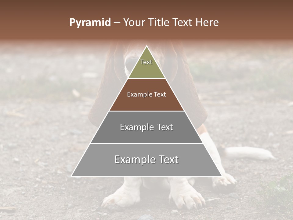 Long Canine Basset PowerPoint Template