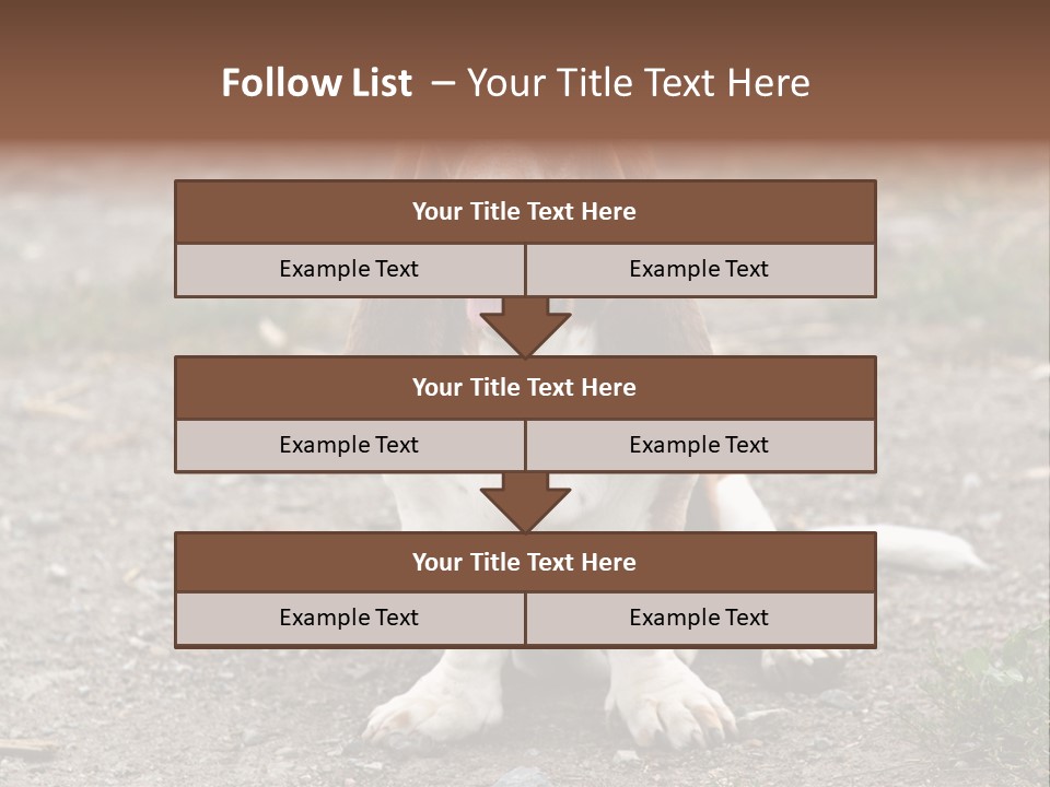 Long Canine Basset PowerPoint Template