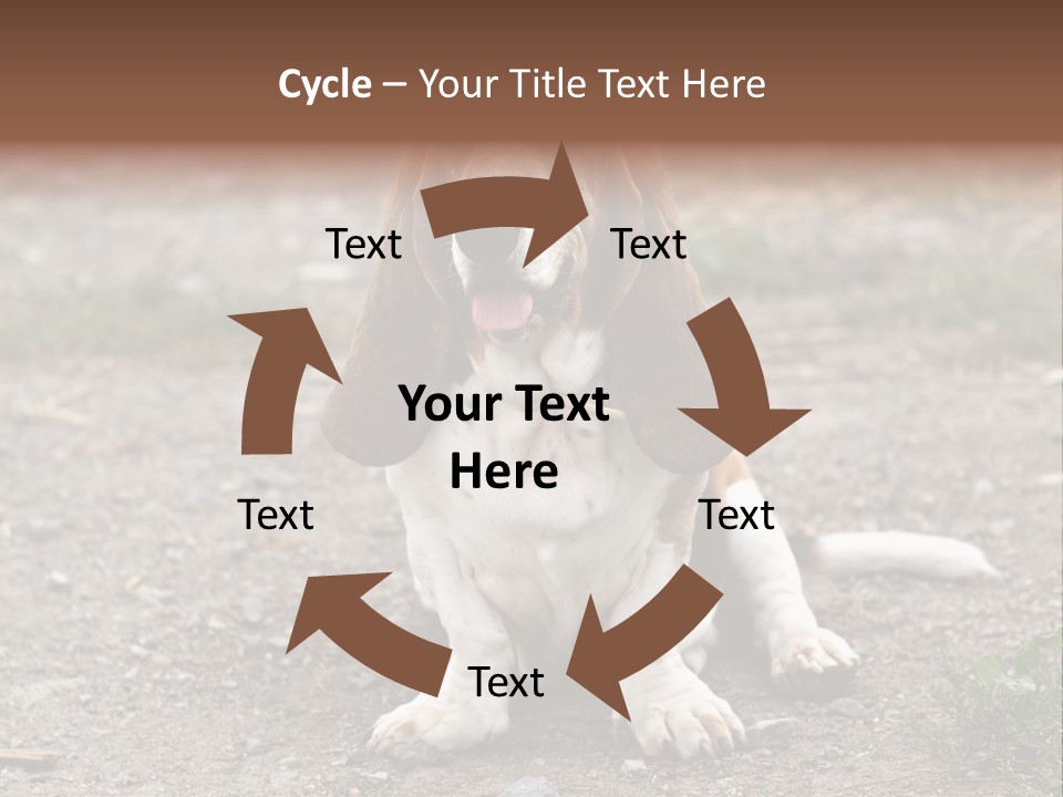 Long Canine Basset PowerPoint Template