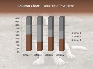 Long Canine Basset PowerPoint Template