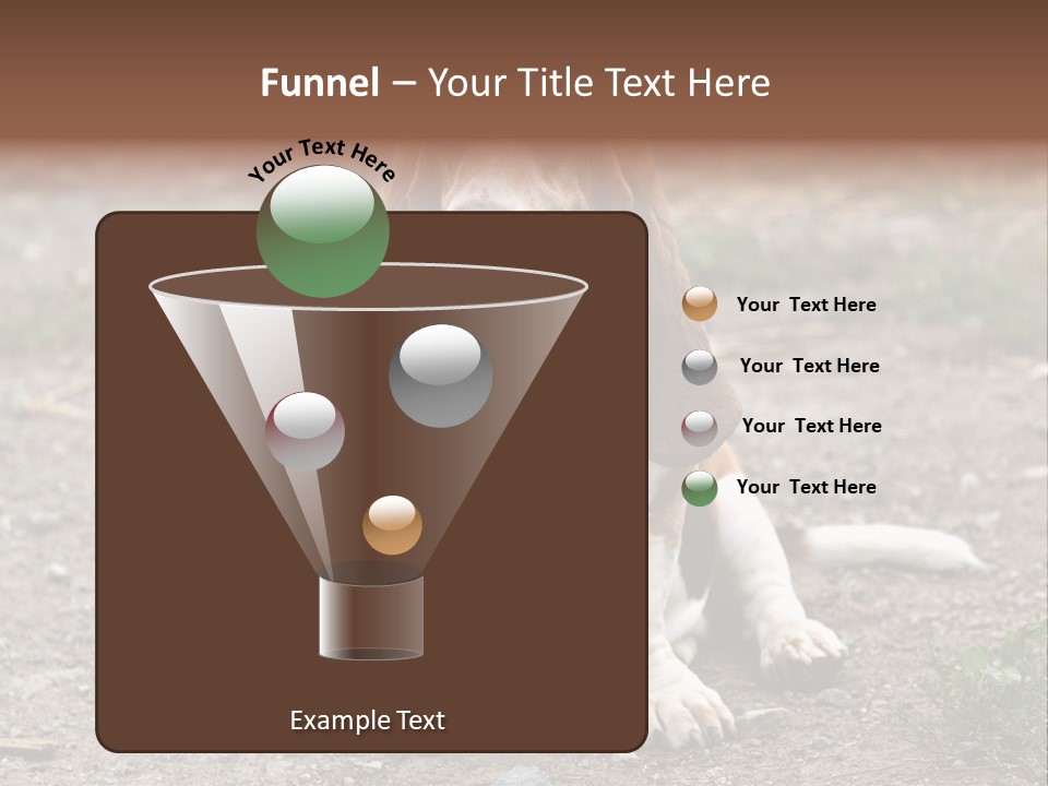 Long Canine Basset PowerPoint Template