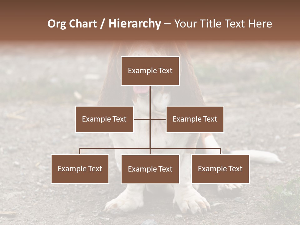 Long Canine Basset PowerPoint Template