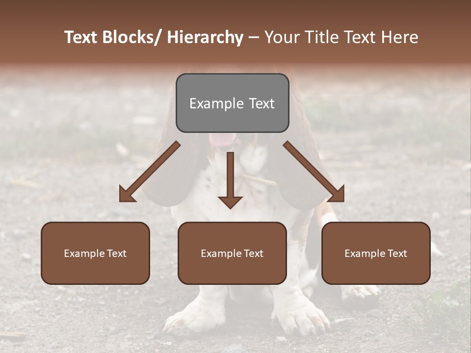 Long Canine Basset PowerPoint Template