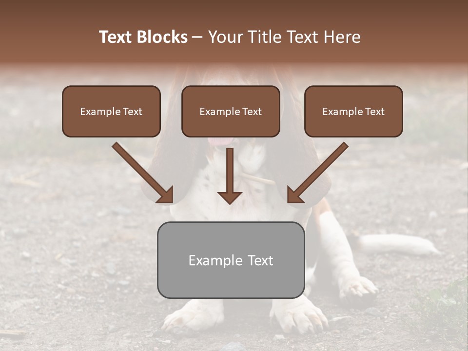 Long Canine Basset PowerPoint Template