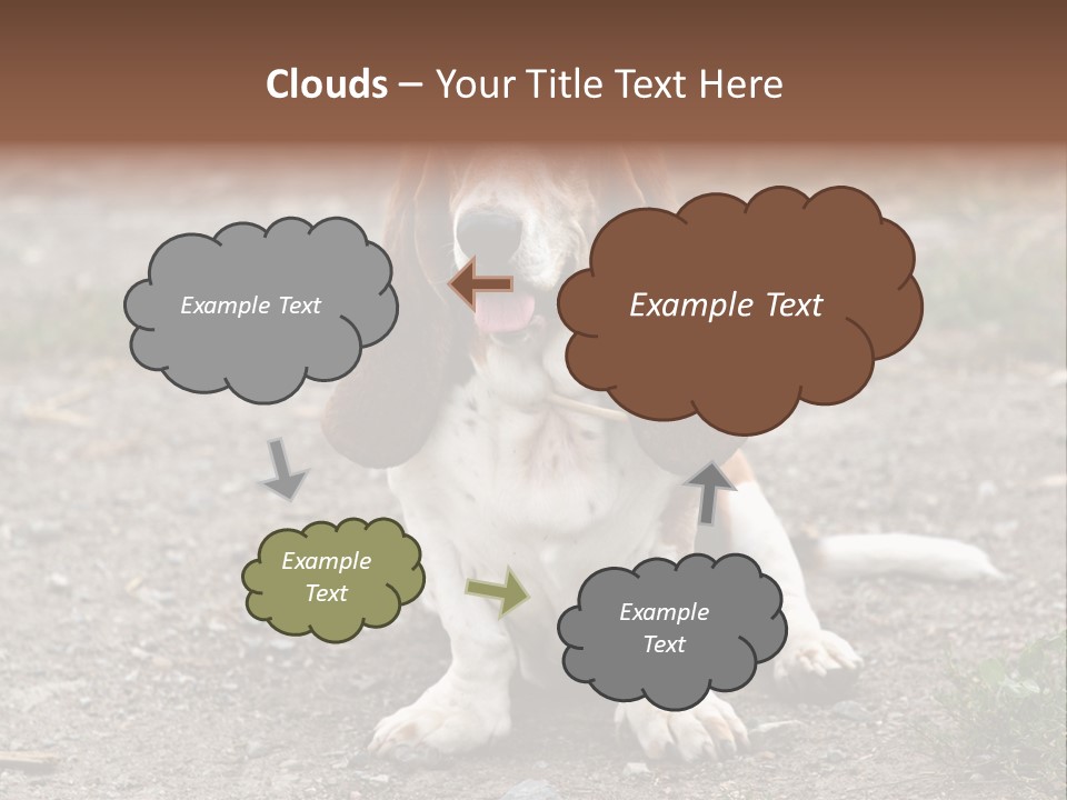 Long Canine Basset PowerPoint Template