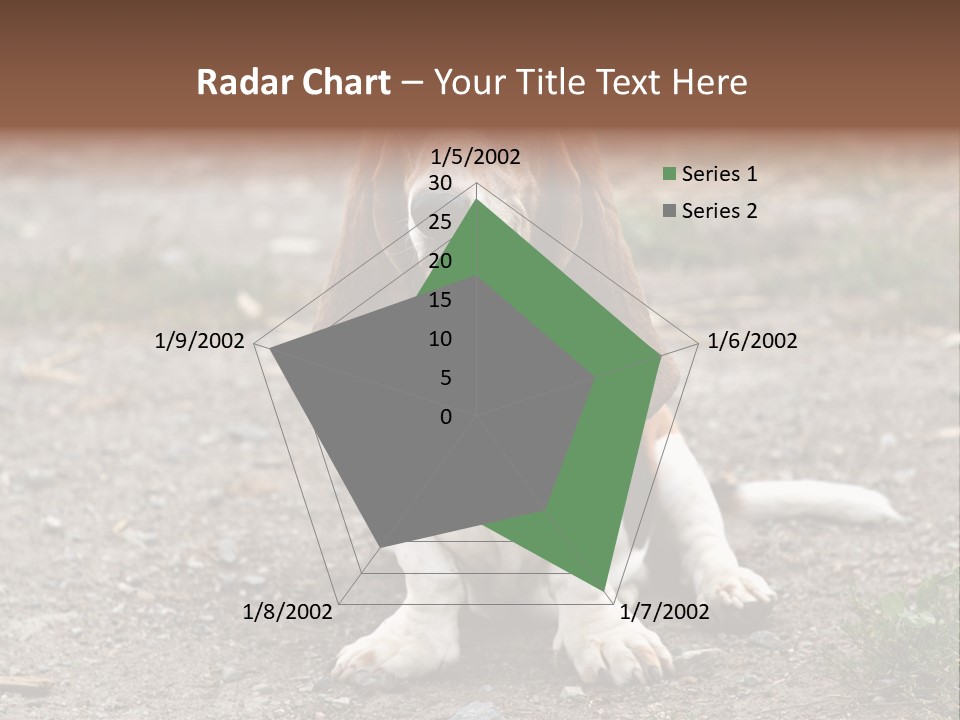 Long Canine Basset PowerPoint Template