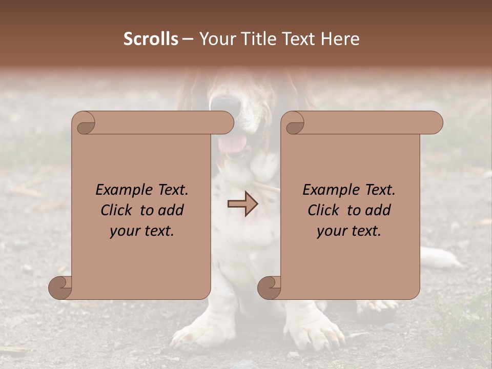 Long Canine Basset PowerPoint Template