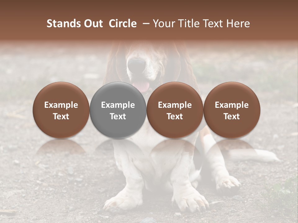 Long Canine Basset PowerPoint Template