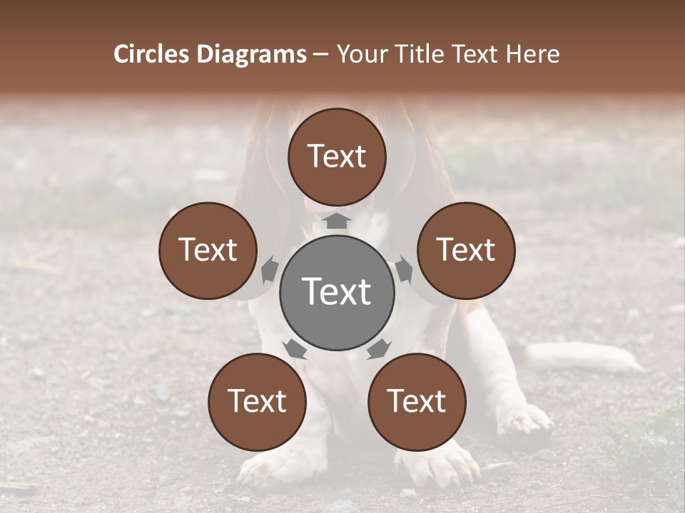 Long Canine Basset PowerPoint Template