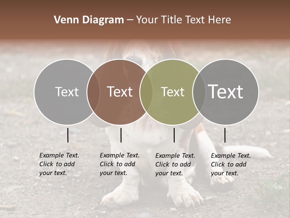 Long Canine Basset PowerPoint Template