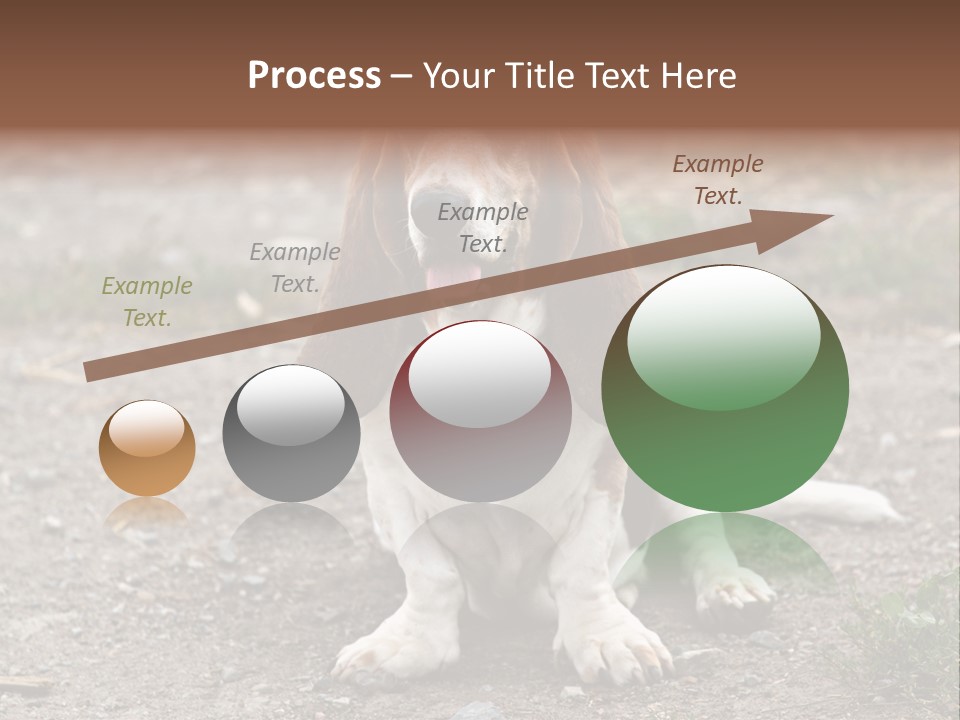 Long Canine Basset PowerPoint Template