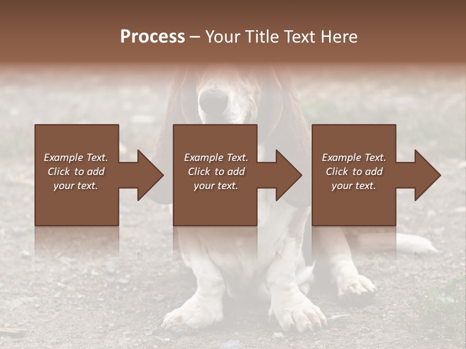 Long Canine Basset PowerPoint Template