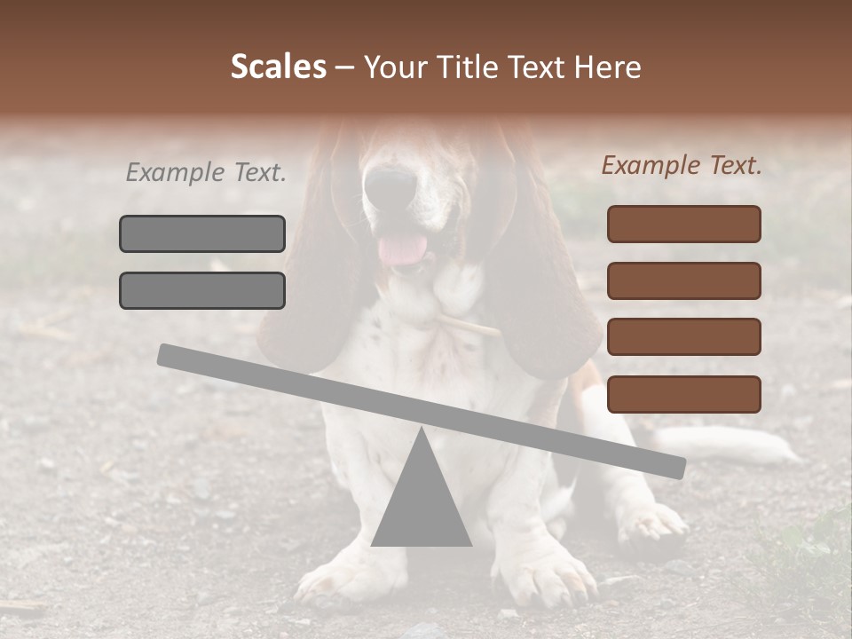 Long Canine Basset PowerPoint Template