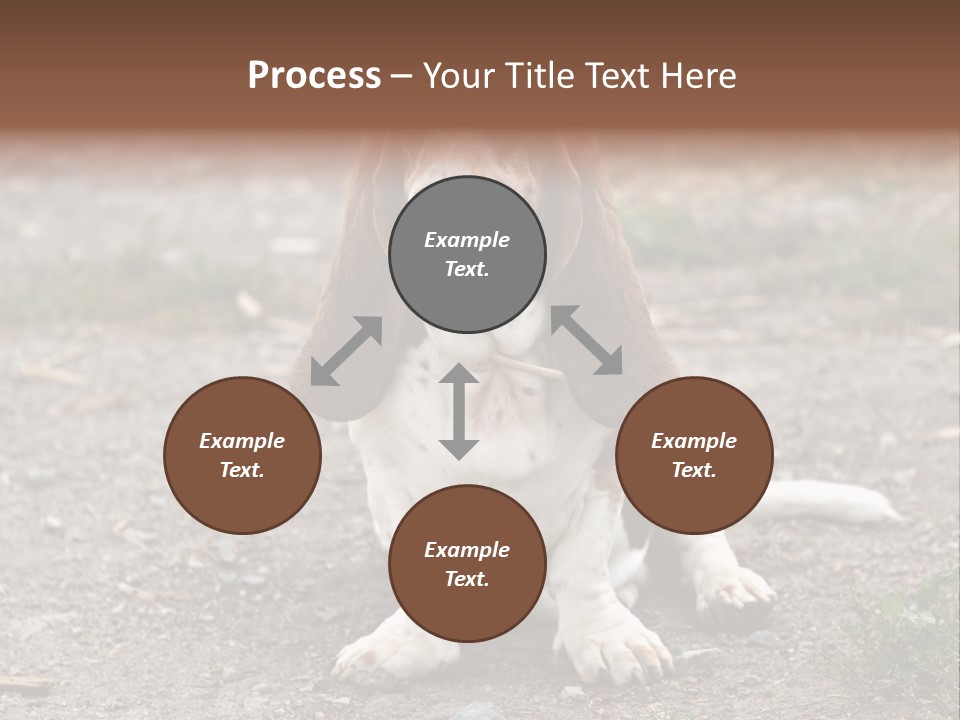 Long Canine Basset PowerPoint Template