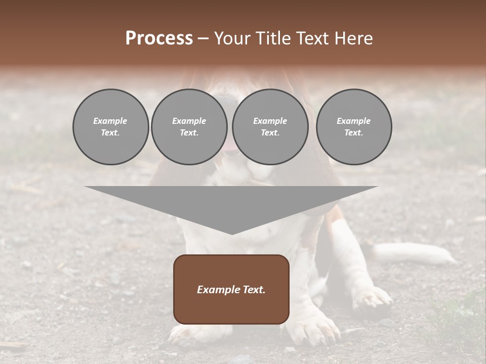 Long Canine Basset PowerPoint Template