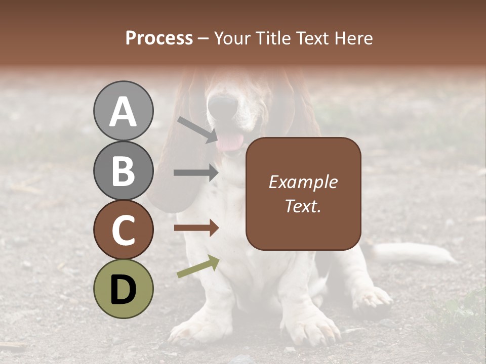 Long Canine Basset PowerPoint Template