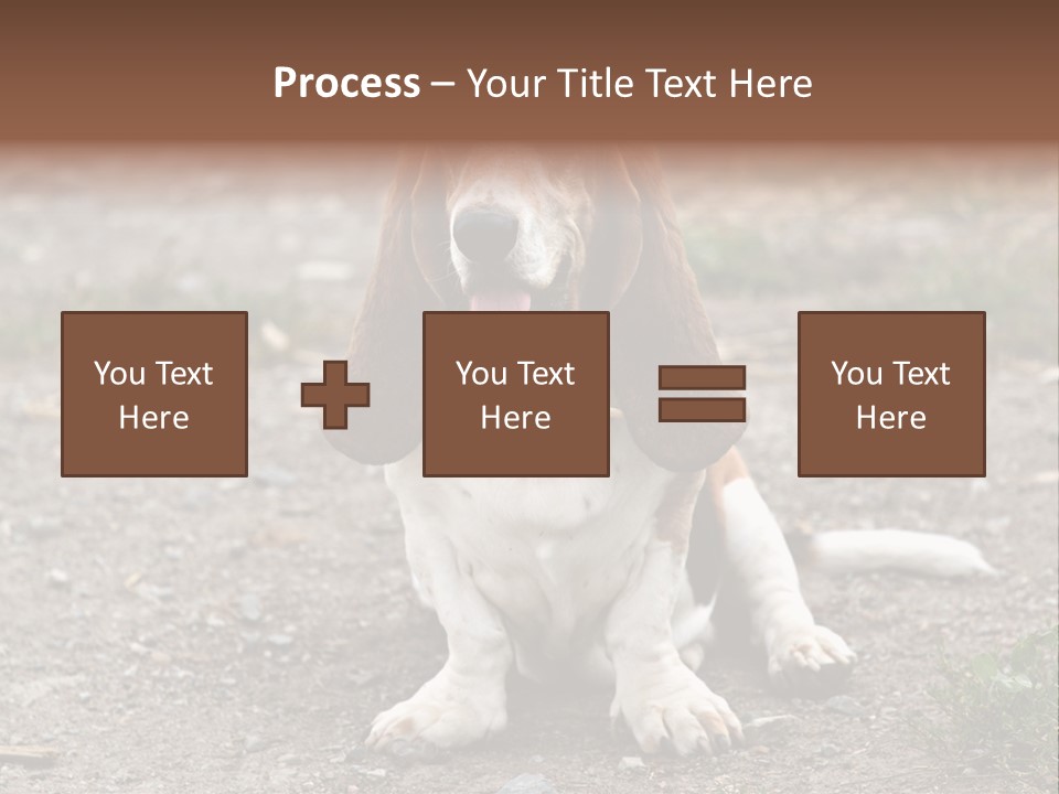 Long Canine Basset PowerPoint Template