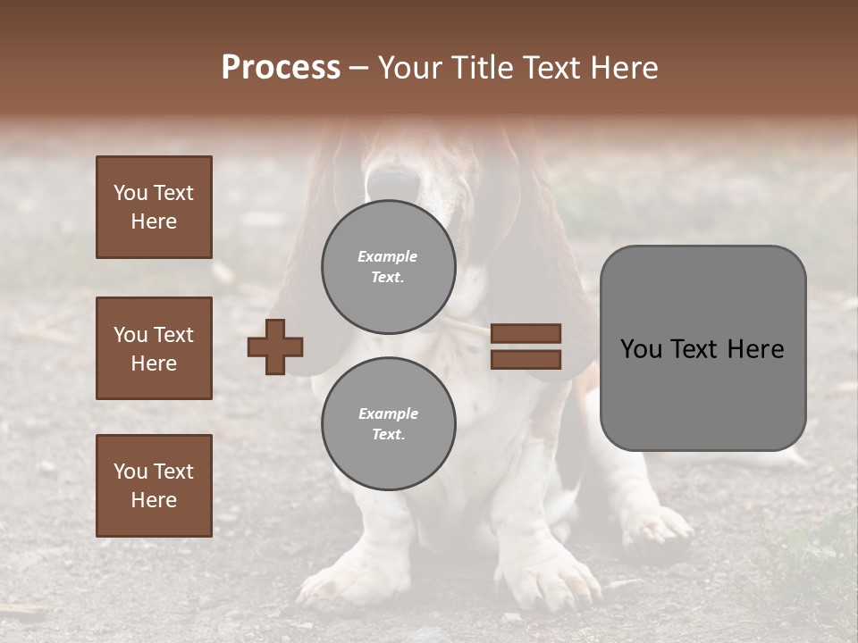 Long Canine Basset PowerPoint Template