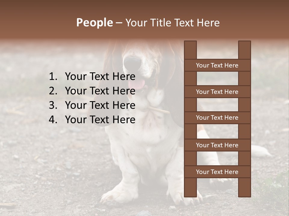 Long Canine Basset PowerPoint Template