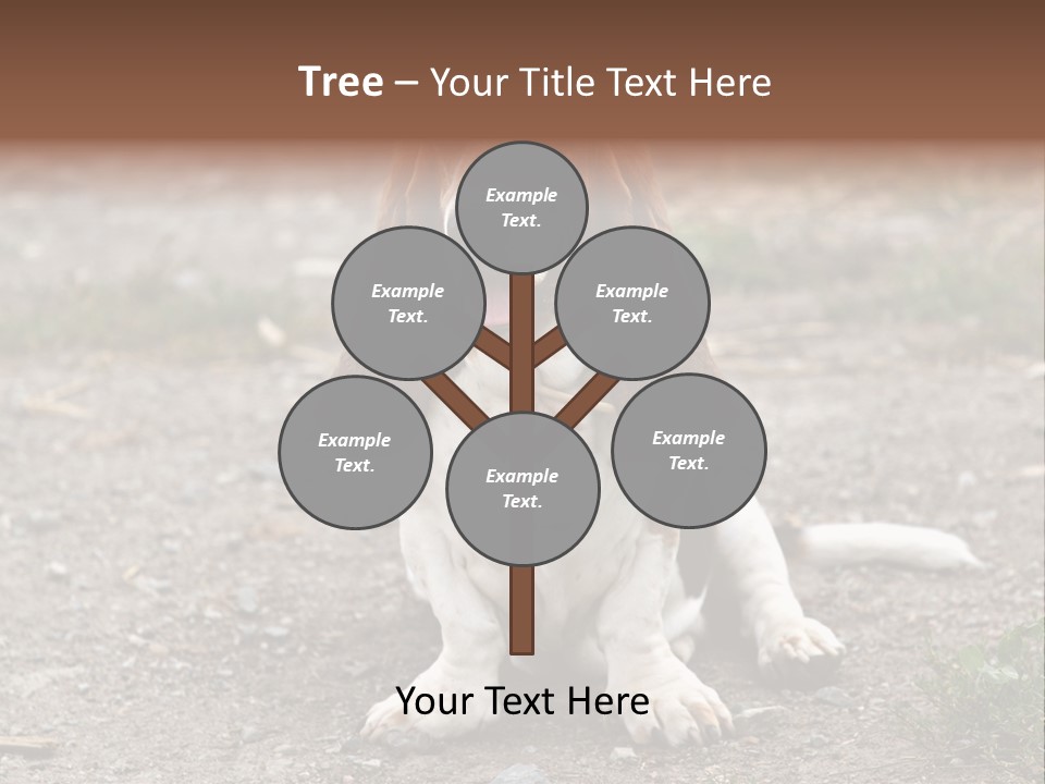 Long Canine Basset PowerPoint Template