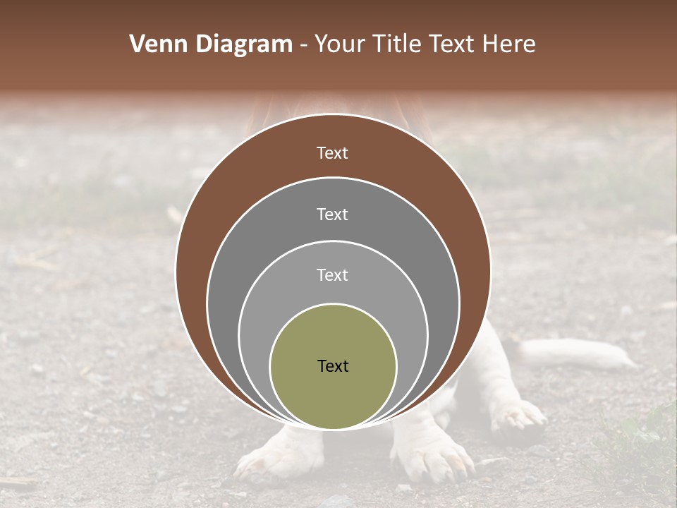 Long Canine Basset PowerPoint Template