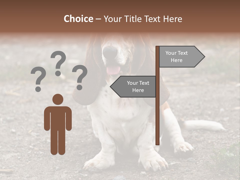 Long Canine Basset PowerPoint Template