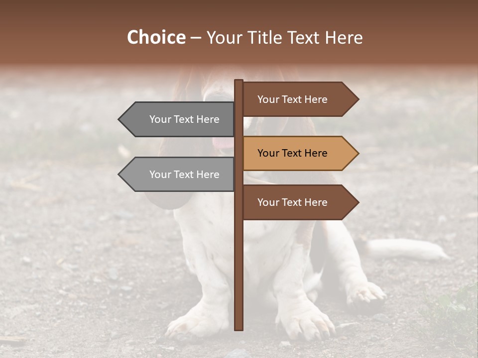 Long Canine Basset PowerPoint Template