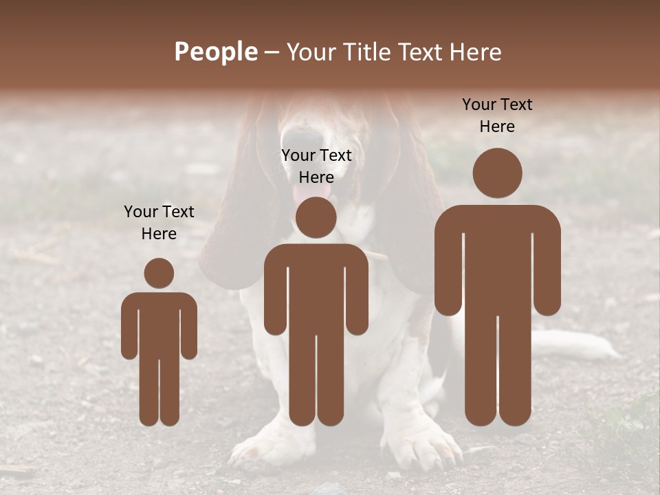 Long Canine Basset PowerPoint Template