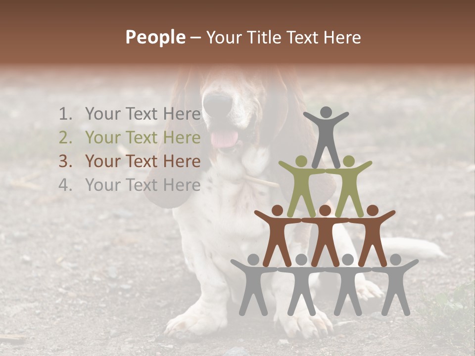 Long Canine Basset PowerPoint Template