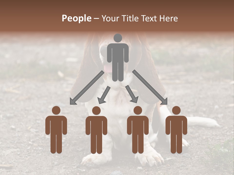 Long Canine Basset PowerPoint Template